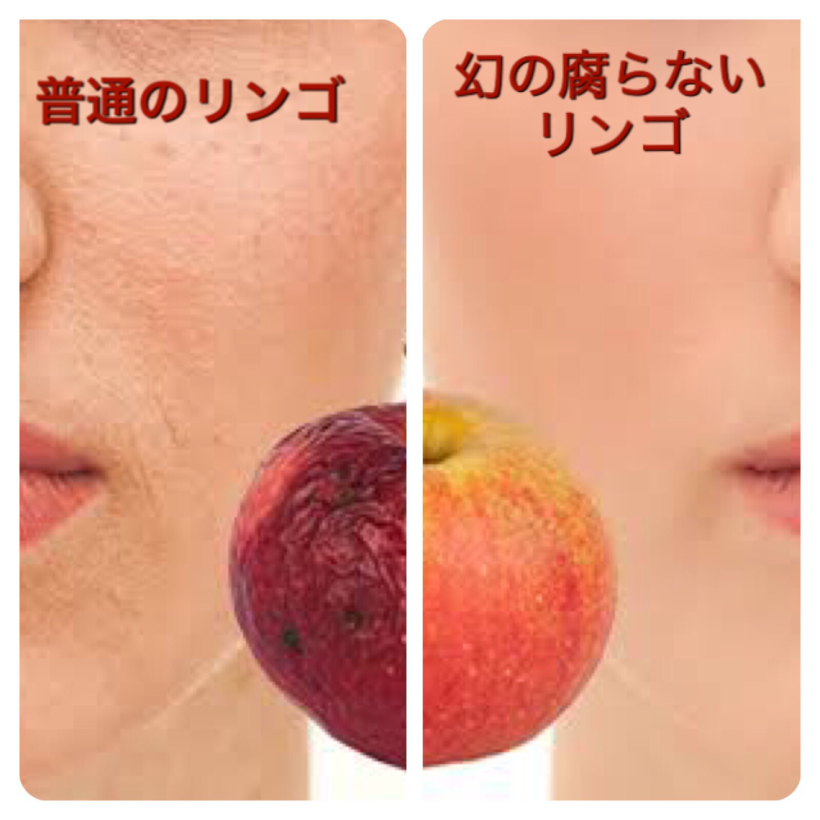 新メニュー 腐らないリンゴって お肌のお悩みおまかせ下さい 奈良キオーナブログ